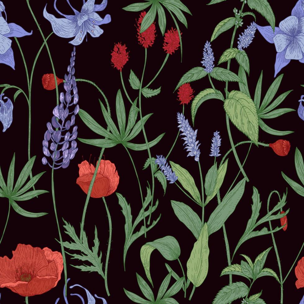 Elegant botanical seamless pattern with wild flowers and herbs on black background - field poppies, lupine, great burnet, granny's bonnet, peppermint. Floral illustration in antique style. vector
