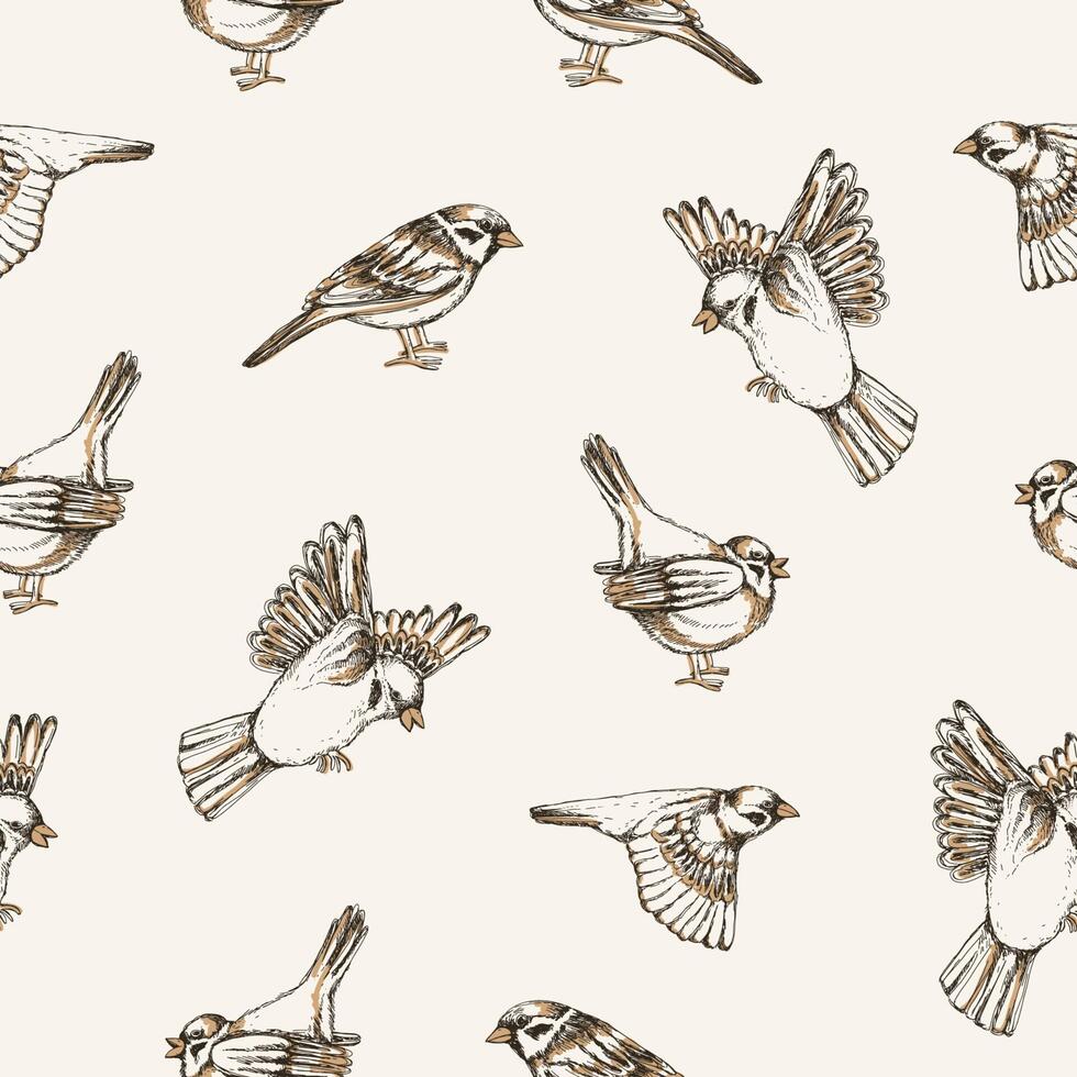 Beautiful seamless pattern with flying and sitting sparrows on light background. Backdrop with cute small city bird. Colored illustration for wallpaper, textile print, wrapping paper. vector