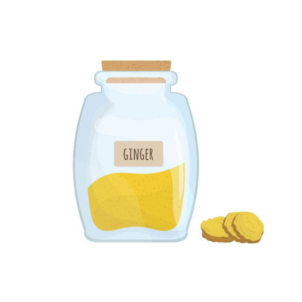 Ground ginger stored in clear jar isolated on white background. Piquant condiment, food spice, cooking ingredient in transparent kitchen container. Colored illustration. vector