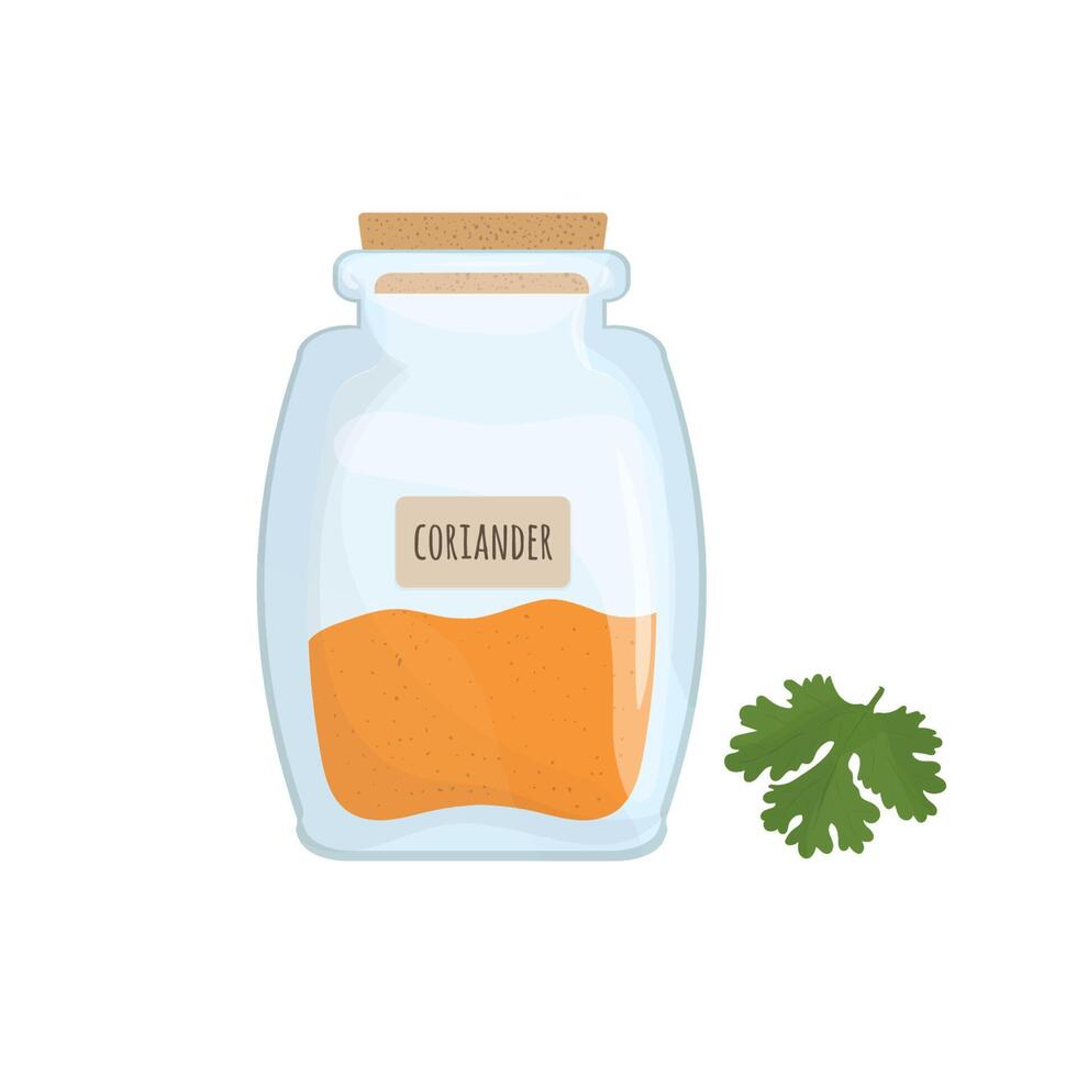 cilantro semillas almacenado en vaso tarro aislado en blanco antecedentes. aromático hierba, comida especia o condimento, Cocinando ingrediente en cerrado transparente envase. vistoso ilustración. vector