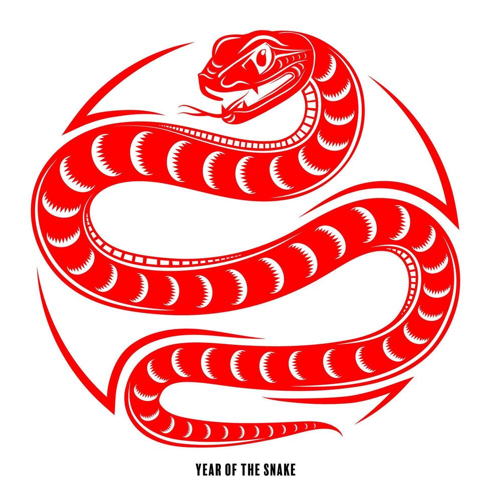 contento chino nuevo año 2025 el serpiente zodíaco firmar con flor,linterna,asiática elementos rojo papel cortar estilo en color antecedentes. vector