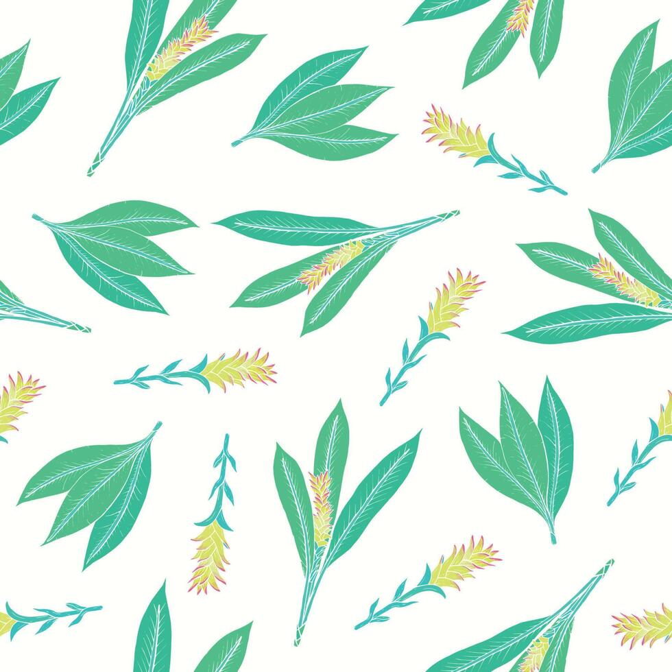 Natural seamless pattern with turmeric leaves and inflorescences. Beautiful Ayurvedic flowering plant hand drawn on white background. Colorful floral illustration for fabric print, backdrop. vector