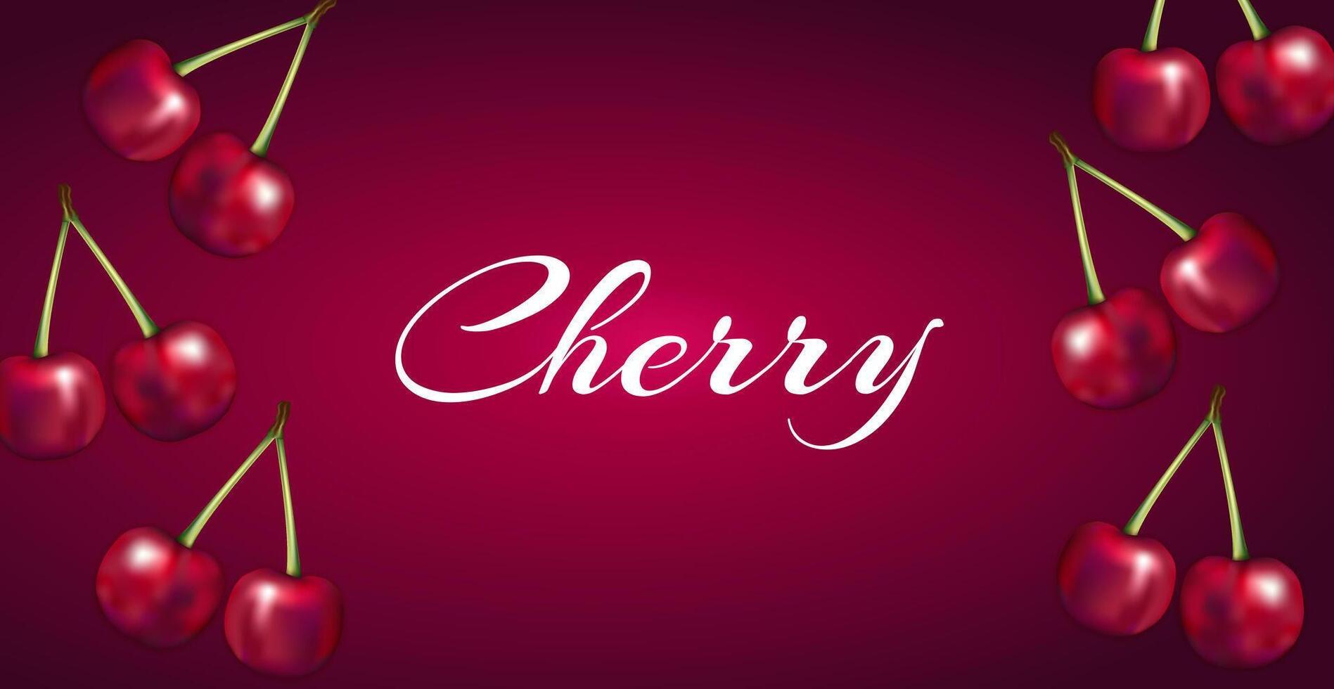 Cherry Red Fruit Background Illustration Banner vector