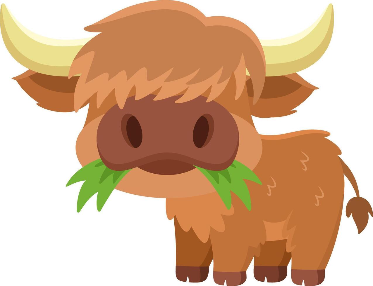 Cute Highland Cow Animal Cartoon Character Eating A Grass vector