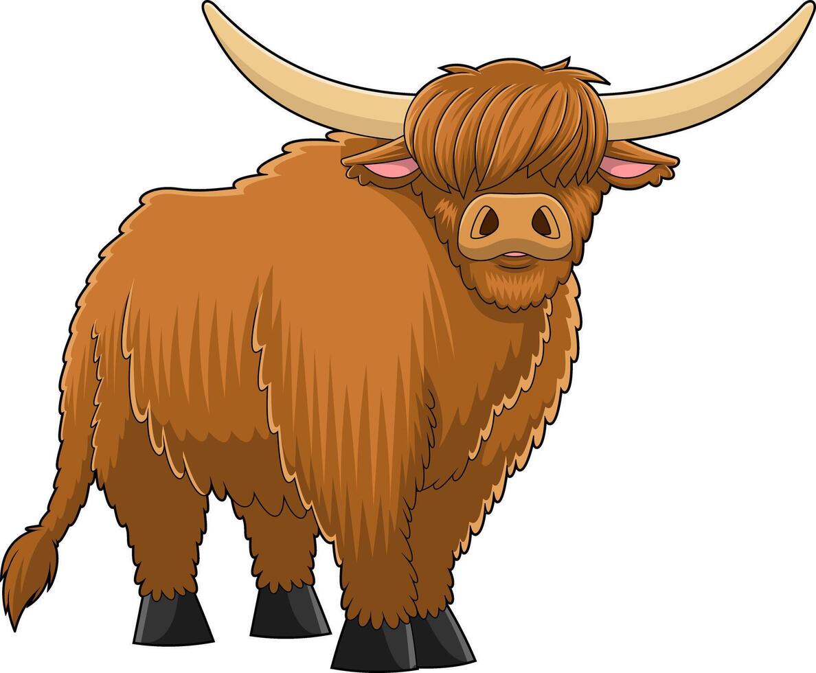 Highland Cow Animal Cartoon Character. Hand Drawn Illustration vector