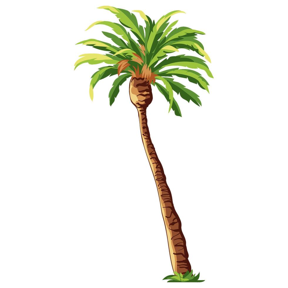 Palm tree isolated on white background vector