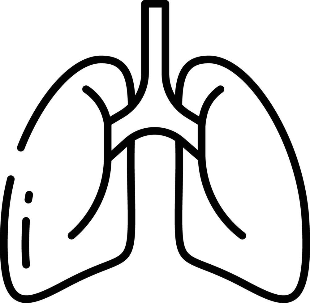 Human Lungs outline illustration vector