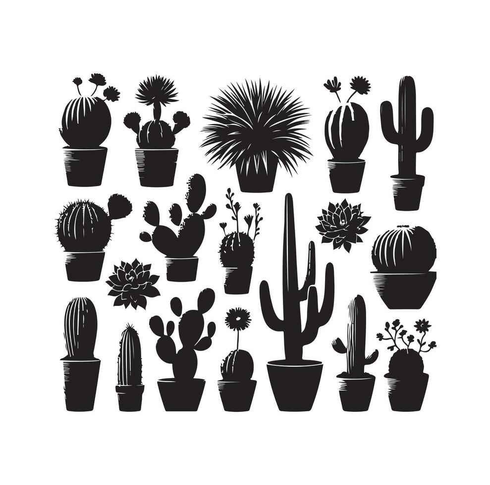 cactus set illustration vector