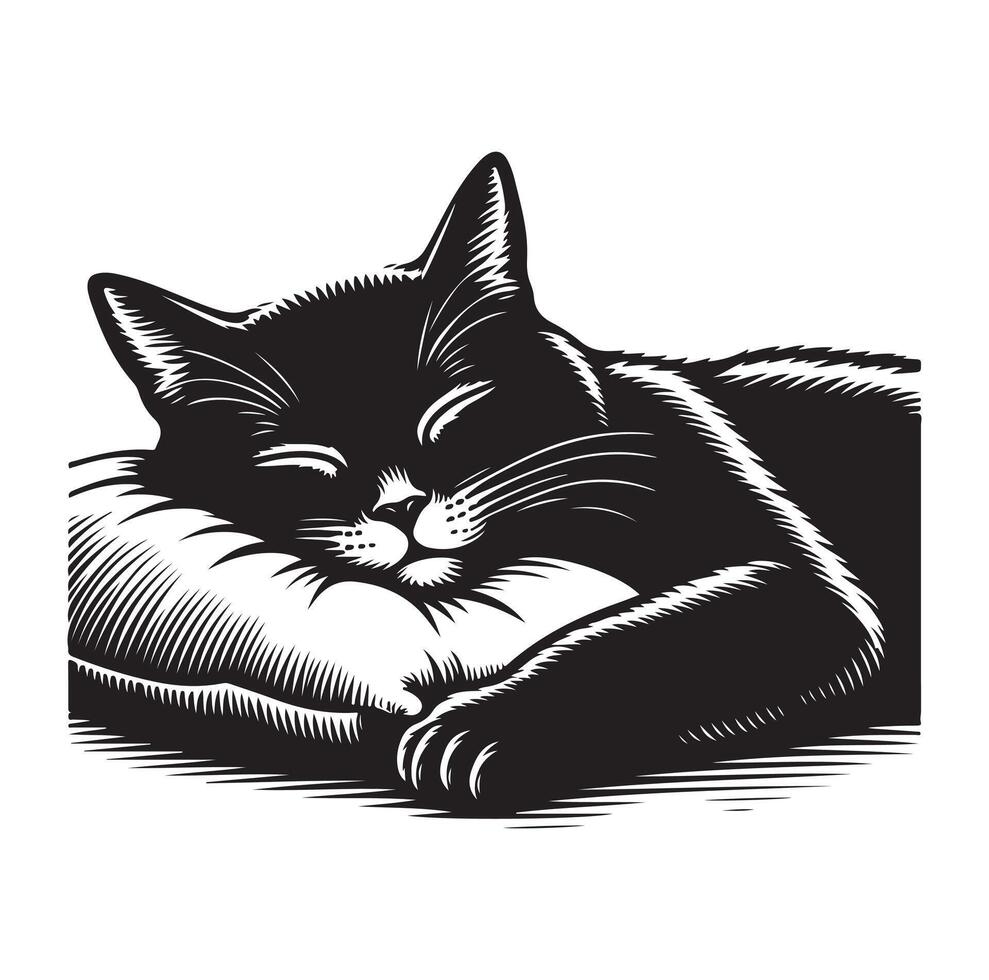 un gato dormido con almohada vector