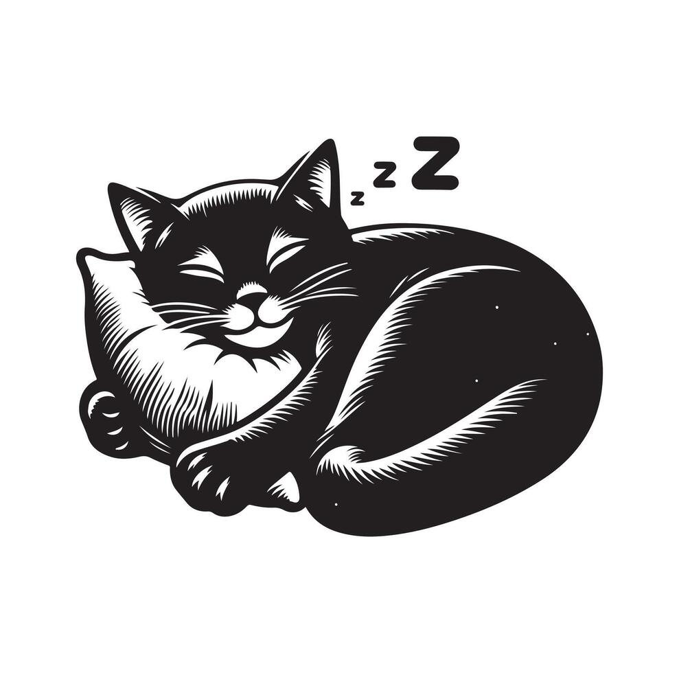 un gato dormido con almohada vector