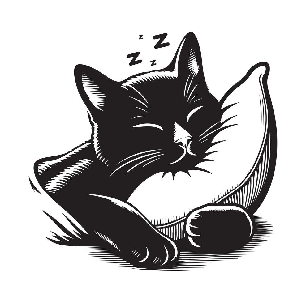 un gato dormido con almohada vector