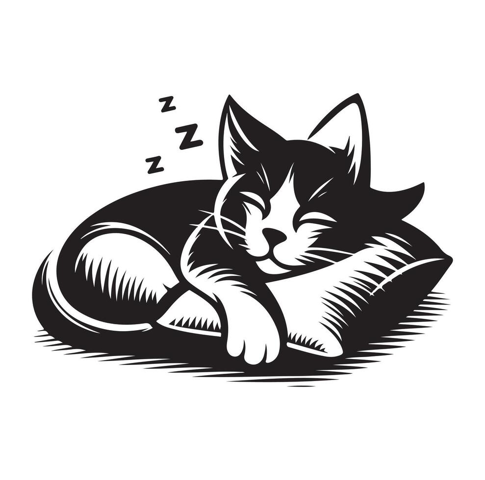 un gato dormido con almohada vector