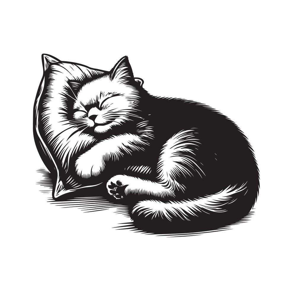 A Cat Sleeping with pillow vector