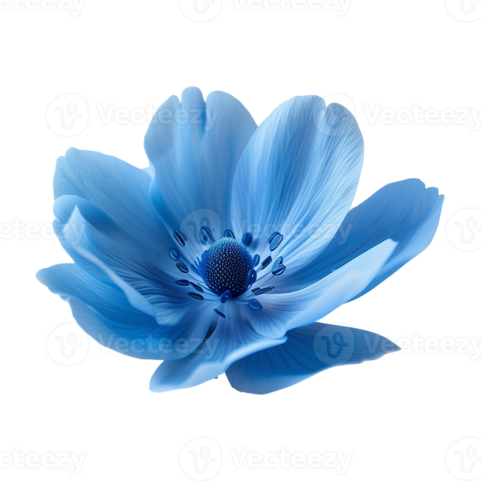 een blauw bloem met een transparant achtergrond png