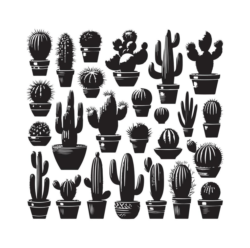 cactus set illustration vector