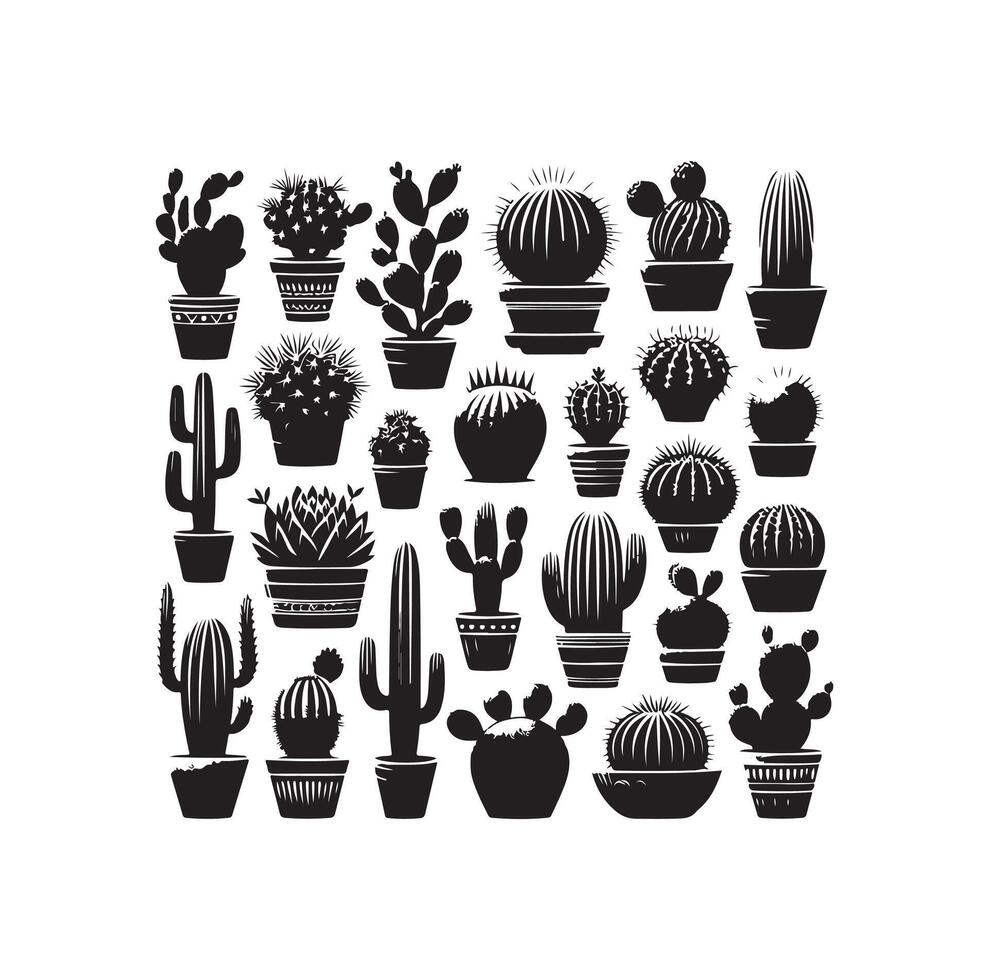 cactus set illustration vector