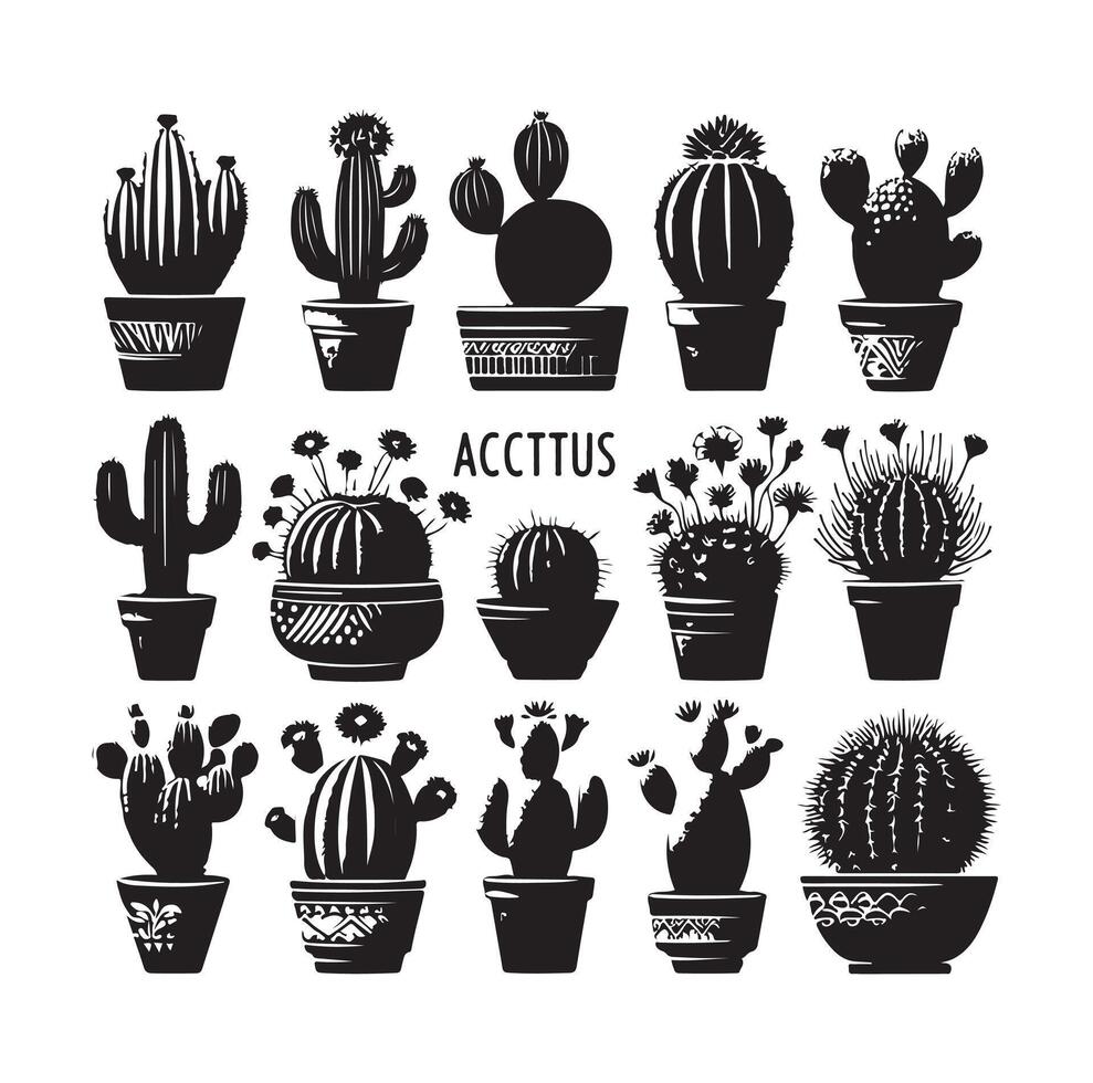 cactus set illustration vector