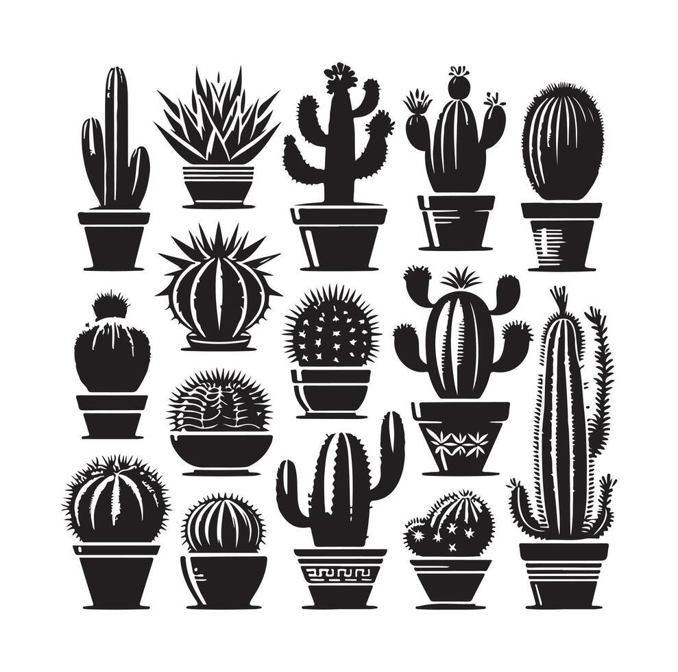 cactus set illustration vector