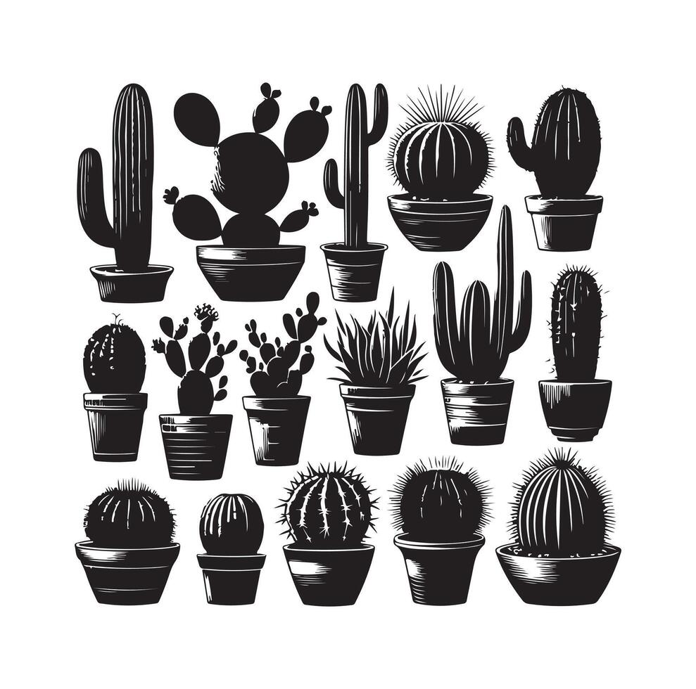 cactus set illustration vector