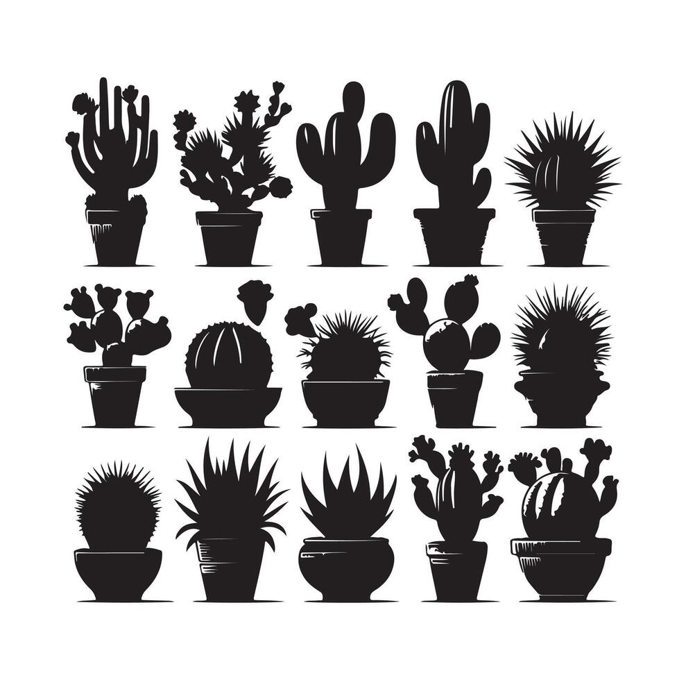 cactus set illustration vector