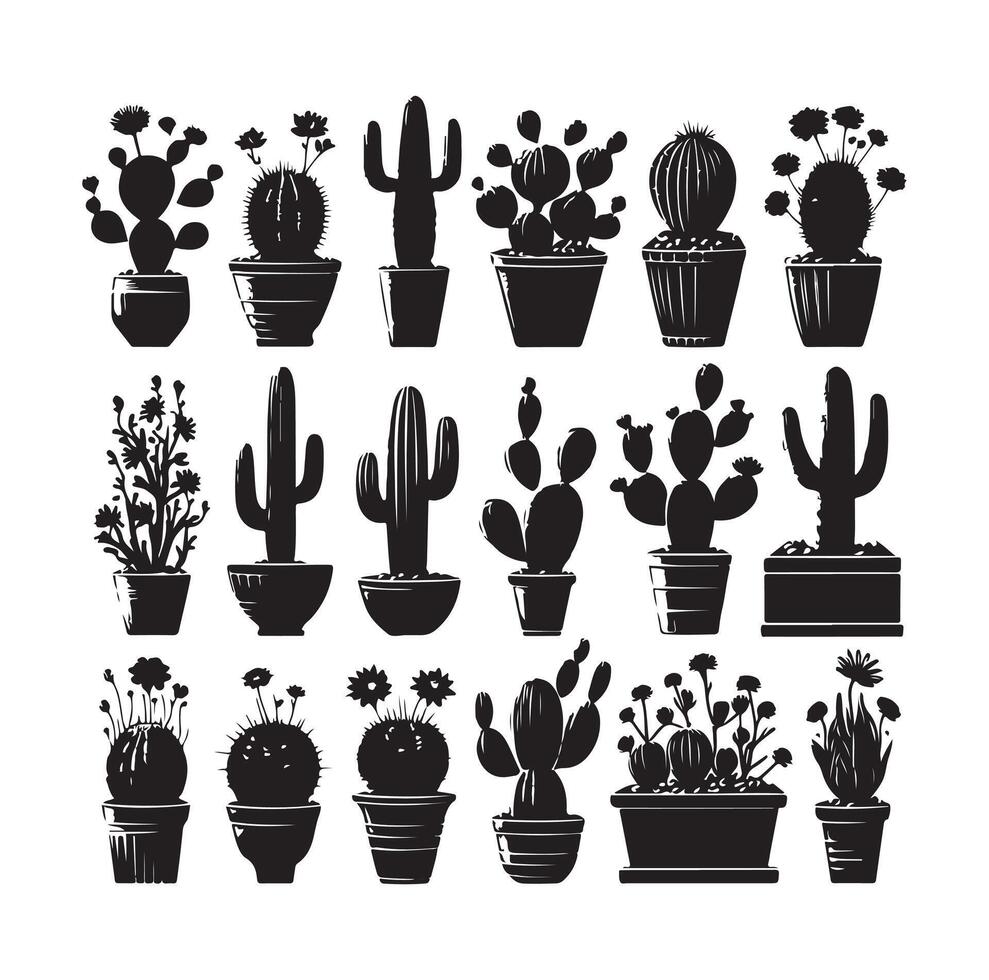 cactus set illustration vector