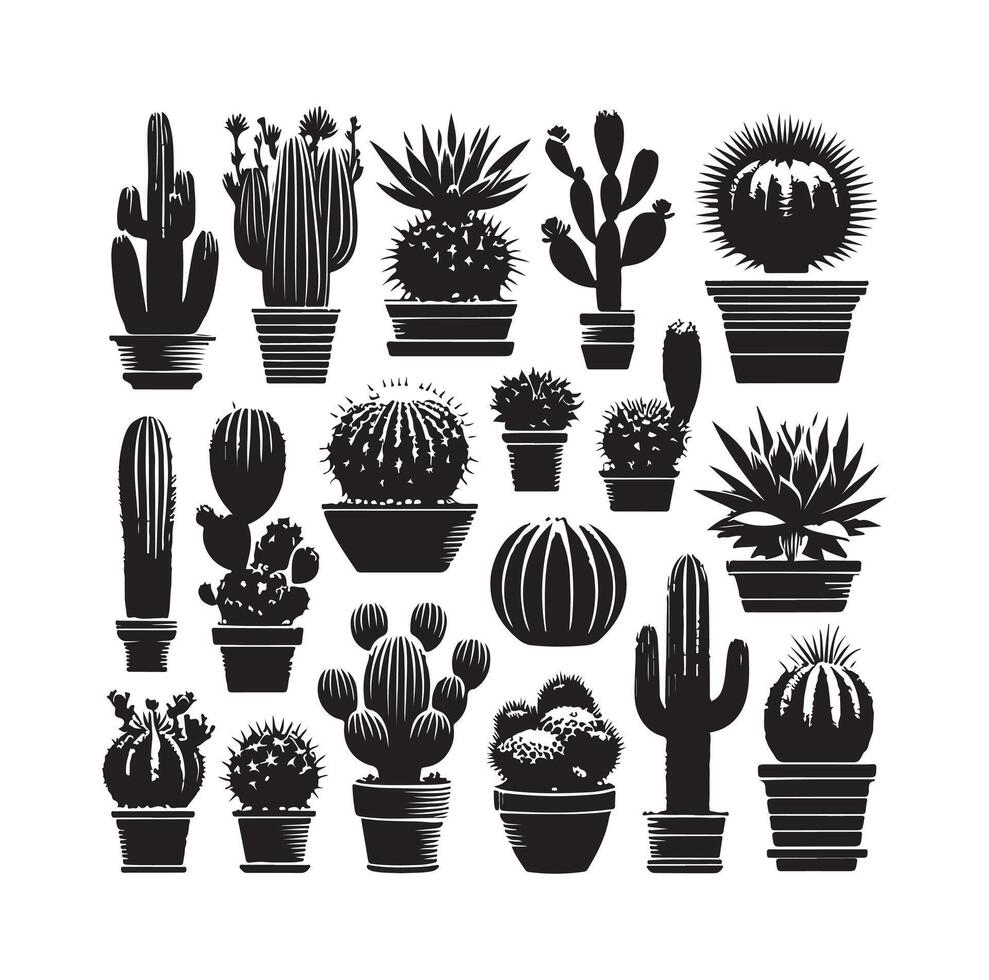 cactus set illustration vector