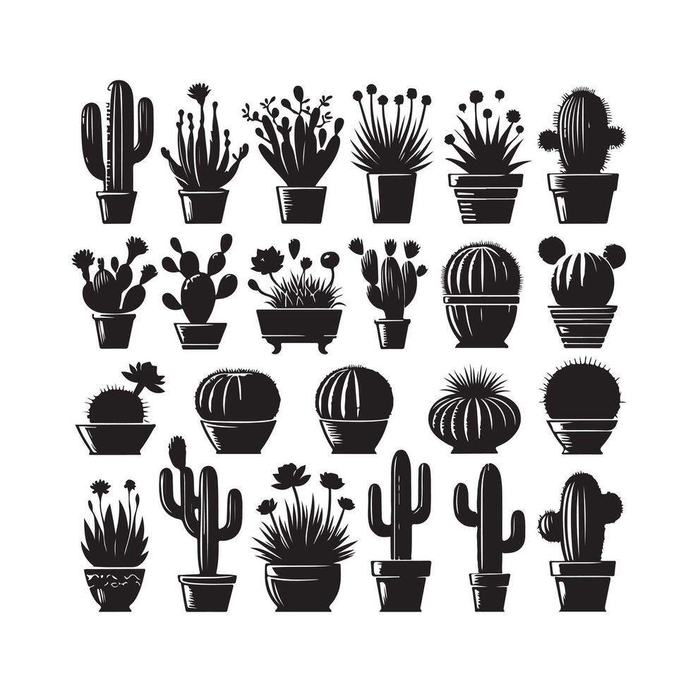 cactus set illustration vector