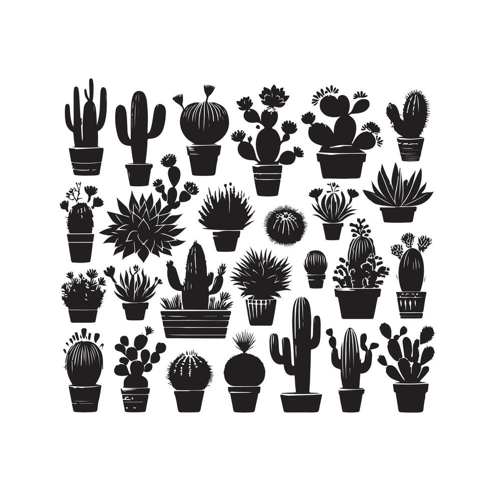 cactus set illustration vector