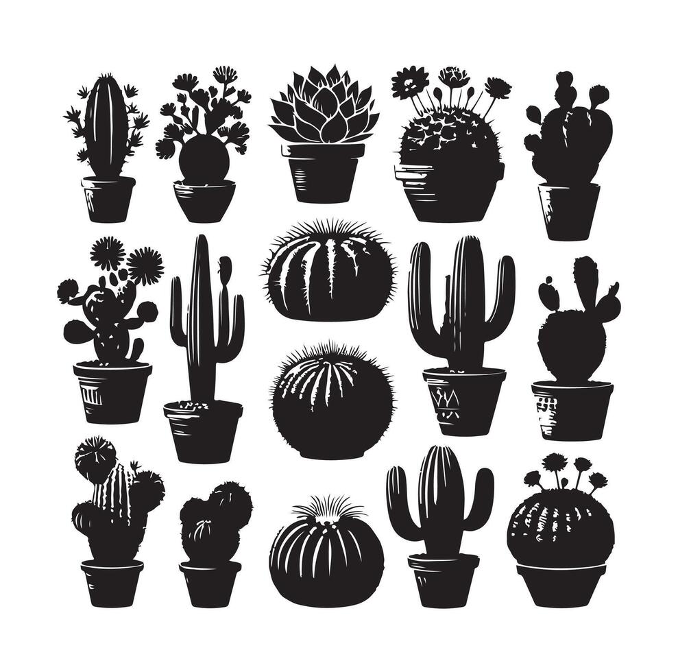 cactus set illustration vector