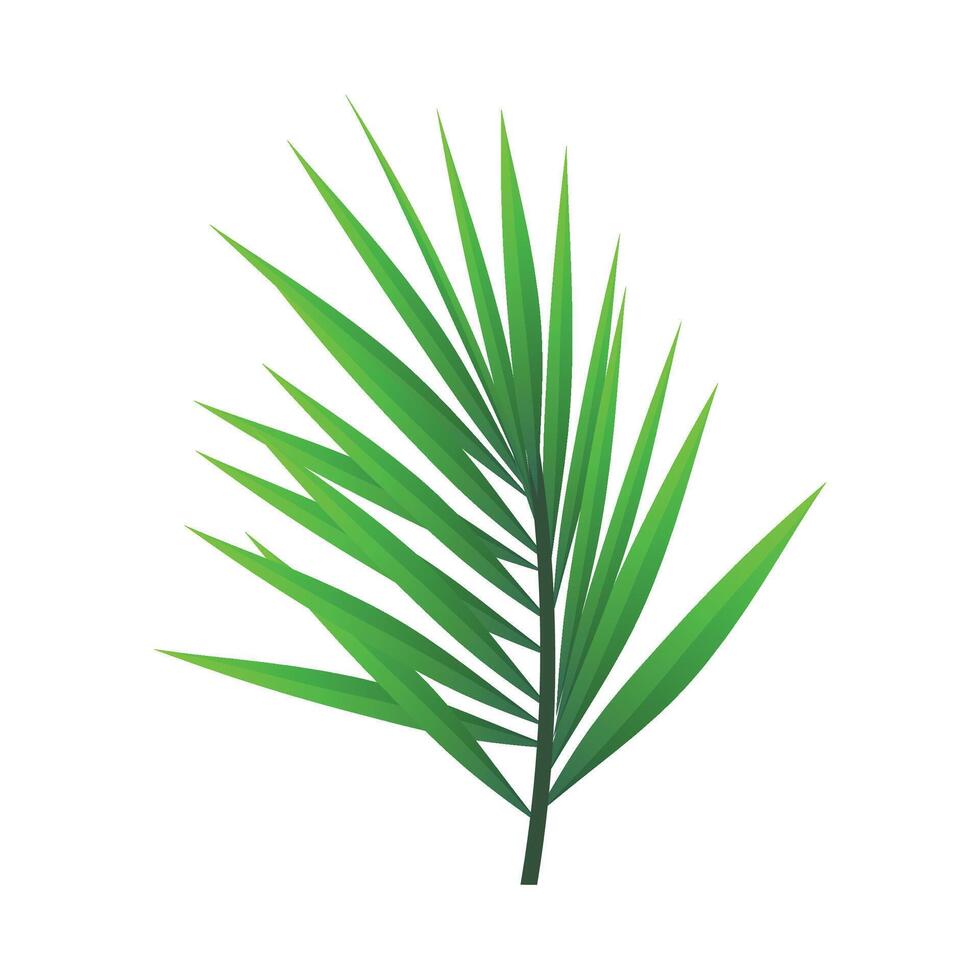 tropical palma hoja aislado en blanco antecedentes realista verde verano planta ilustración vector