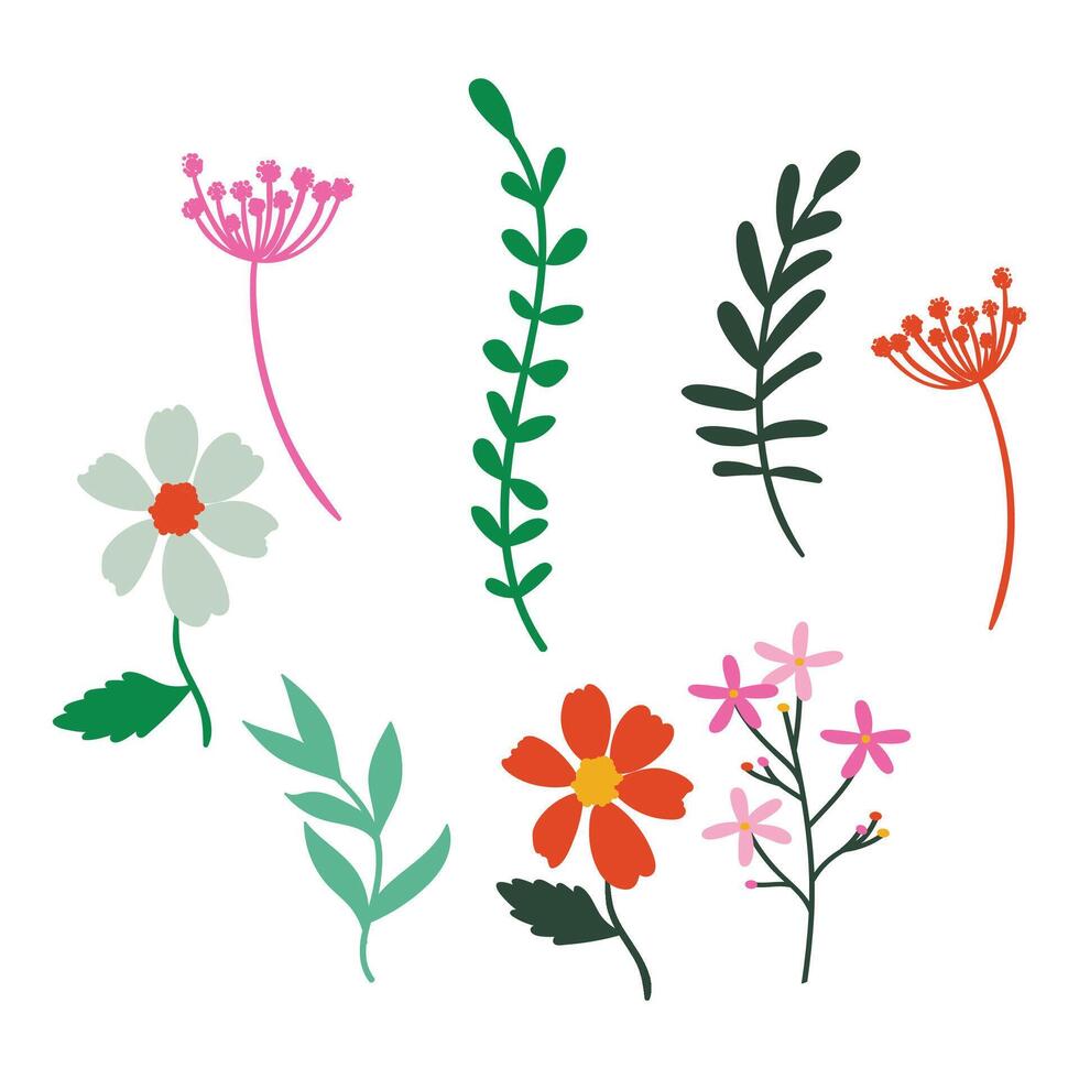 flat design beautiful spring flower collection vector