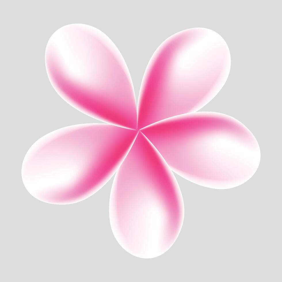 plumeria tropical flower illustration on white background vector