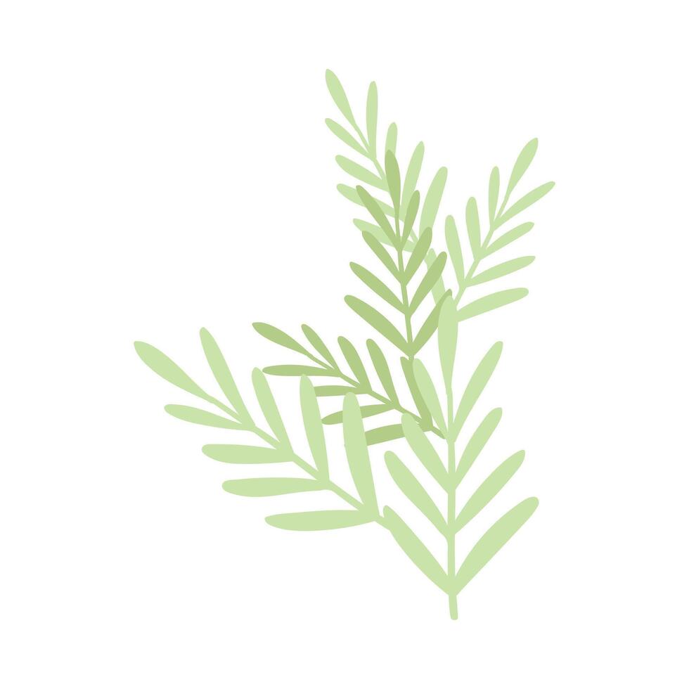 Hand drawn spring flower on white background vector
