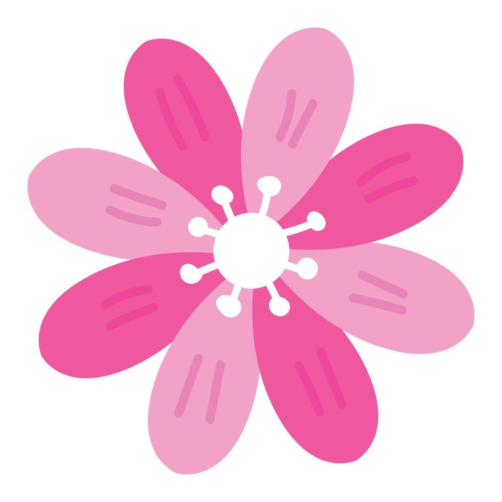 Hand drawn spring flower on white background vector
