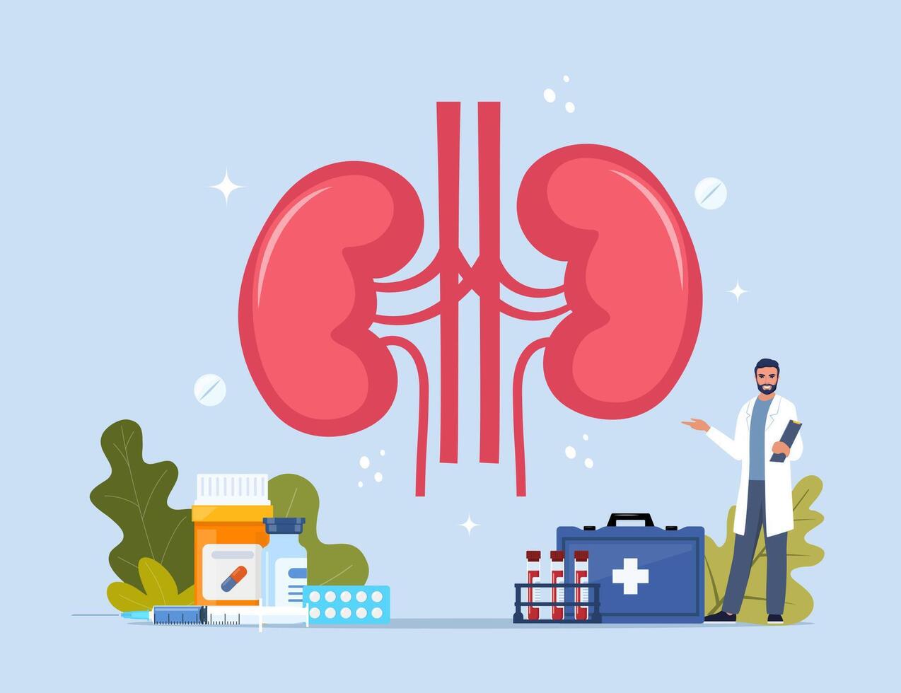 Human kidneys. Inner organs disease treatment. Modern design concept with tiny doctor character, medical drugs, equipment, analysis. Illustration. vector
