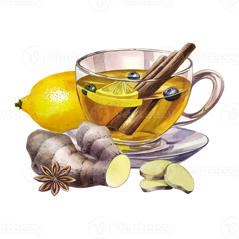 A cup of tea with lemon, ginger, cinnamon and star anise. A glass transparent cup filled with tea. a hand-drawn watercolor illustration. For design solutions of invitation, banner, packaging and menu png