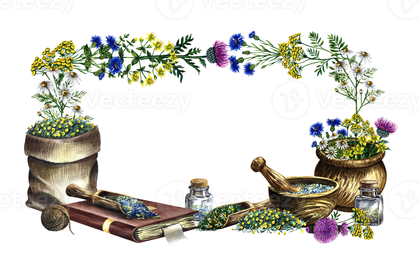 A frame with medicinal herbs cornflower, chamomile and tansy. Dried, crushed in a linen bag, in glass bottles and a wooden pot. Mortar and pestle for grinding. A hand-drawn watercolor illustration. png