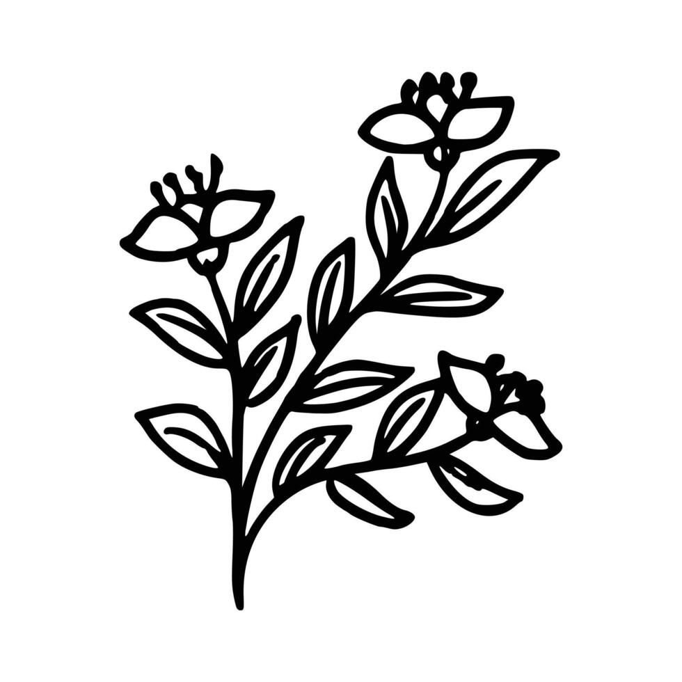 Handdrawn Flower and leaves vector