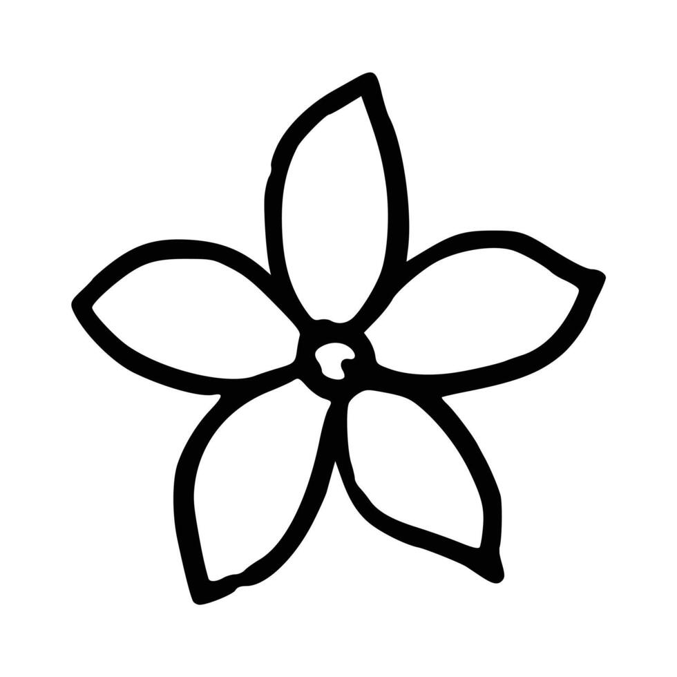 Handdrawn floral decoration element vector