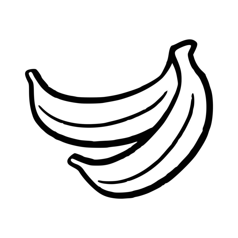 dibujado a mano bananas icono vector