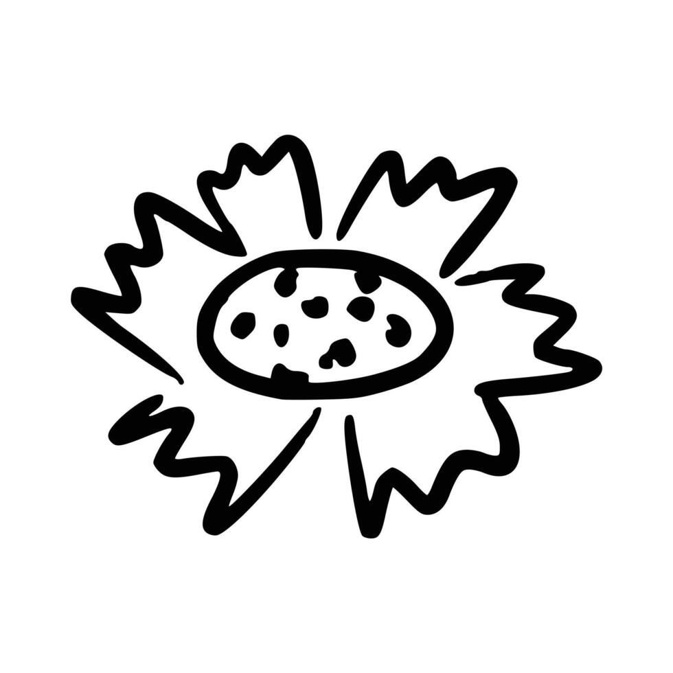 Handdrawn floral decoration element vector
