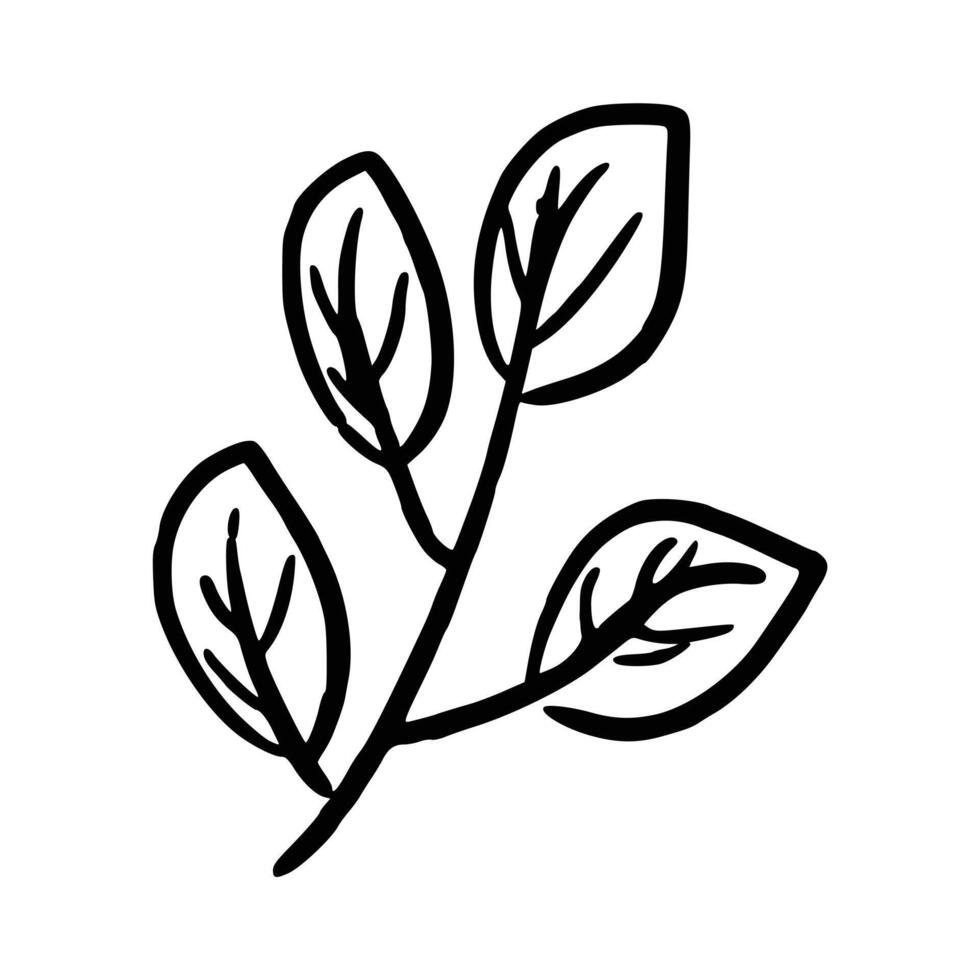 Handdrawn floral decoration element vector