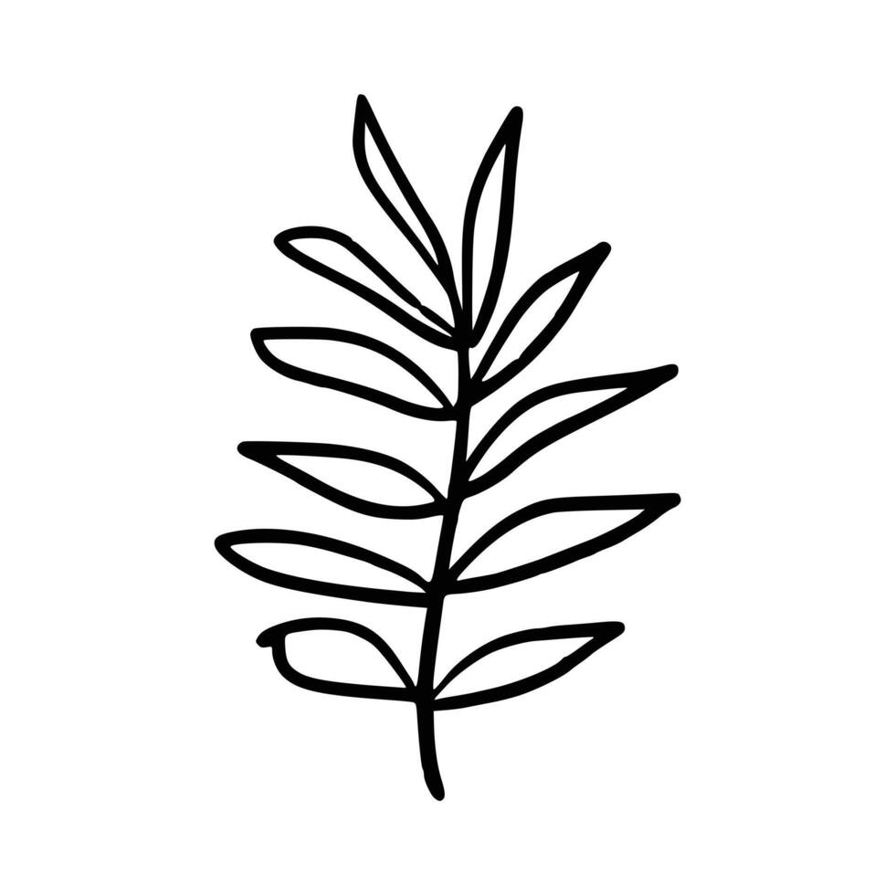 Handdrawn floral decoration element vector