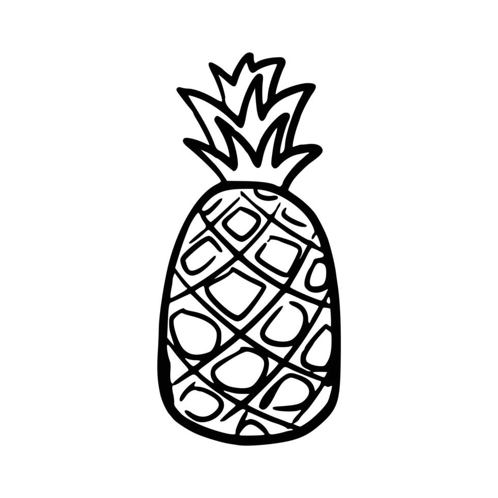 dibujado a mano piña Fruta vector