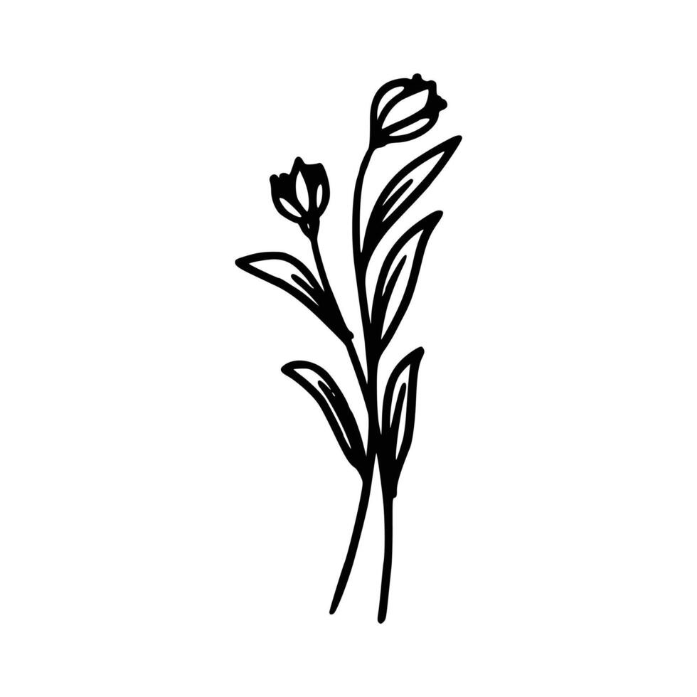 dibujado a mano flor y hojas vector