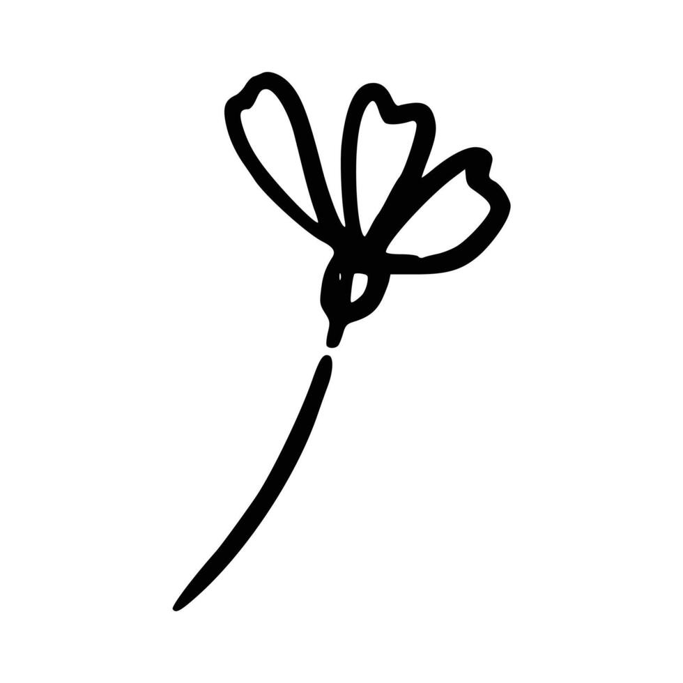 Handdrawn floral decoration element vector
