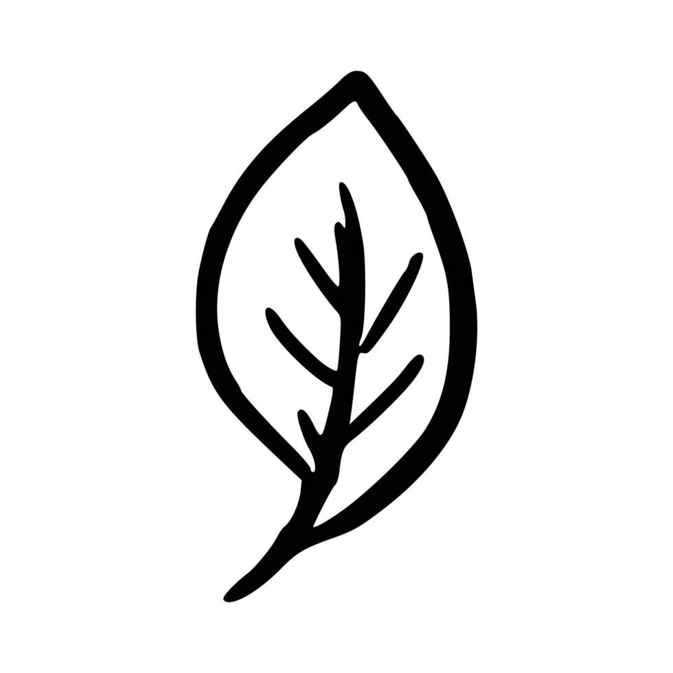 Handdrawn floral decoration element vector