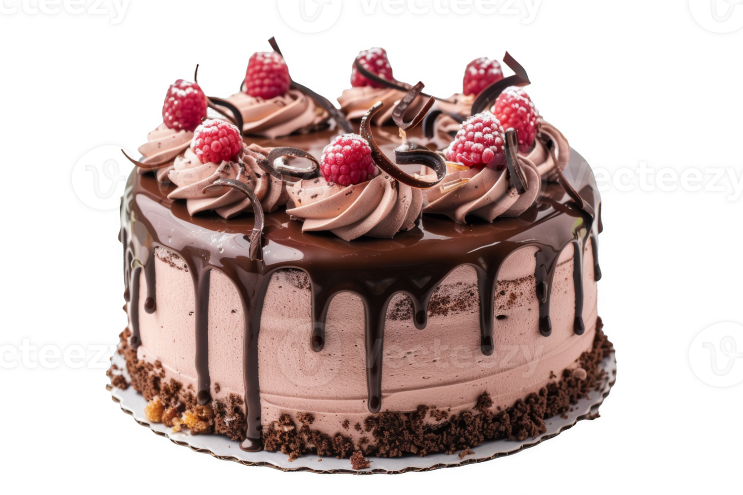 Chocolate Cake With Raspberries png