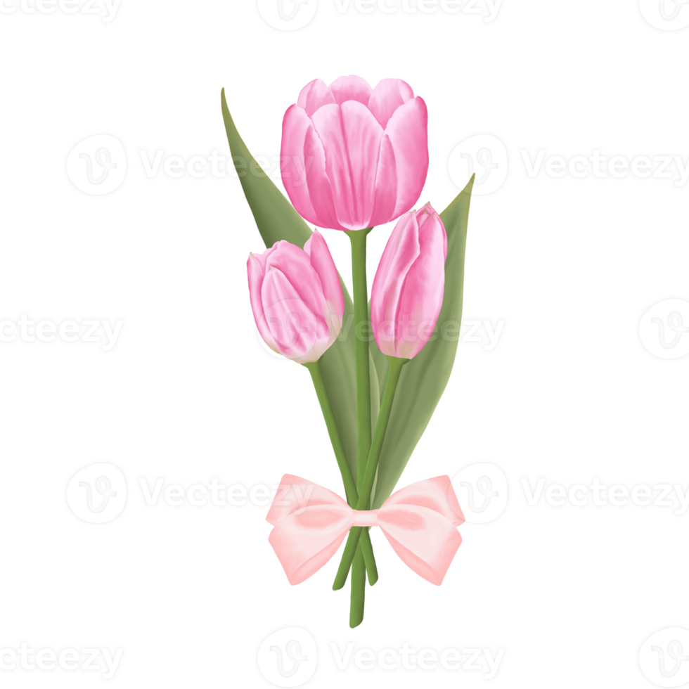 ritad för hand rosa tulpaner - vår blomma illustration png