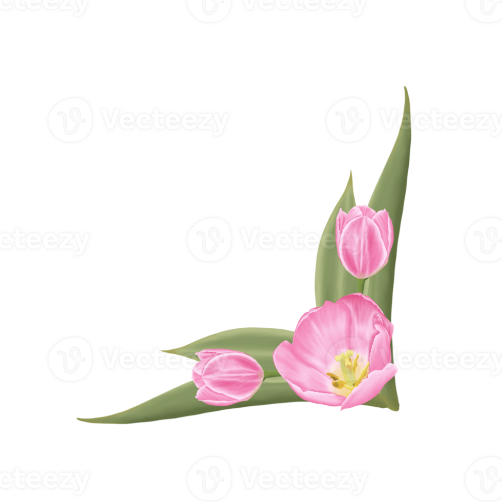 Hand-Drawn Pink Tulips - Spring Flower Illustration png
